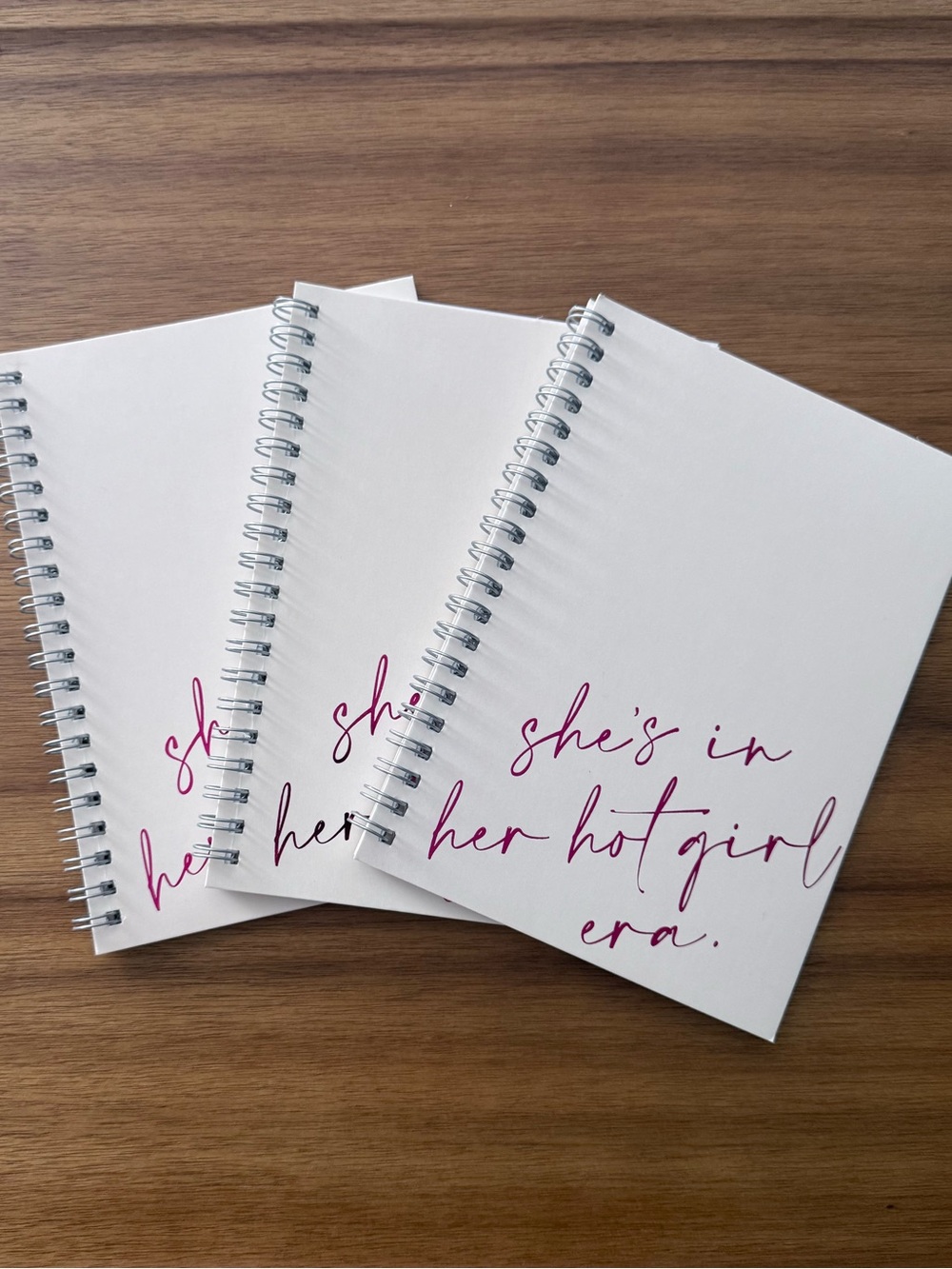 THREE 'She's in Her Hot Girl Era' Spiral Notebook | Brand NEW